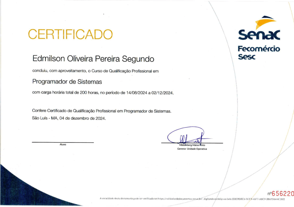 Programador de Sistemas